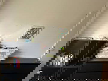 Coliving Genève 644913-8