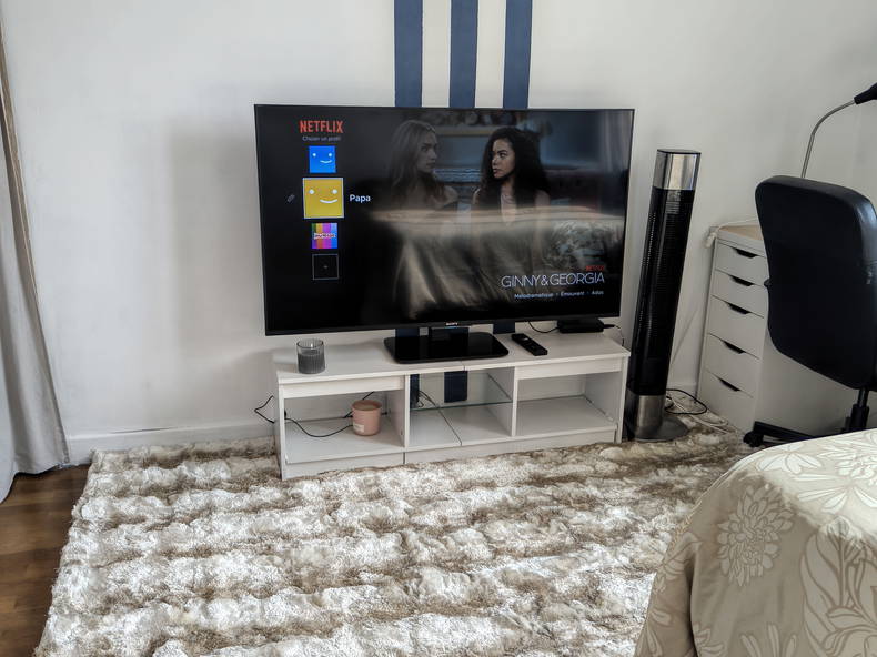 Homestay Villeurbanne 661851-4