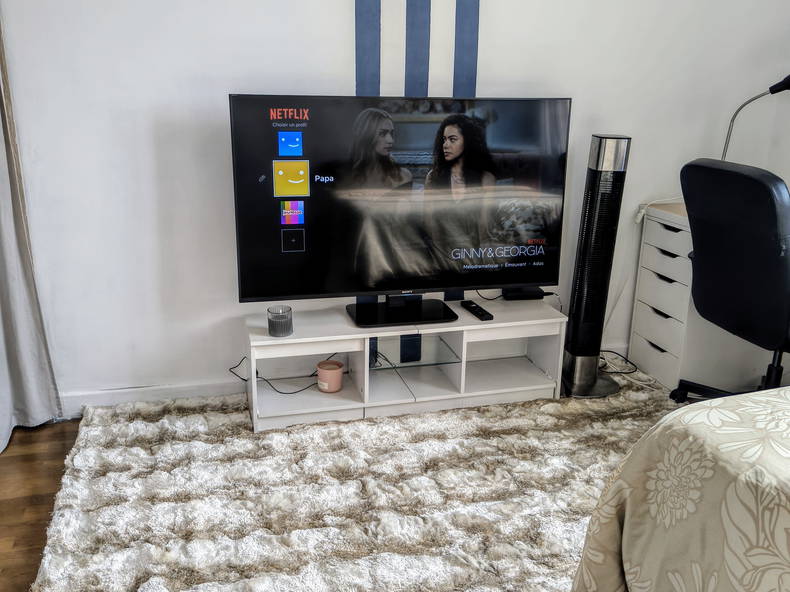 Homestay Villeurbanne 661851-5