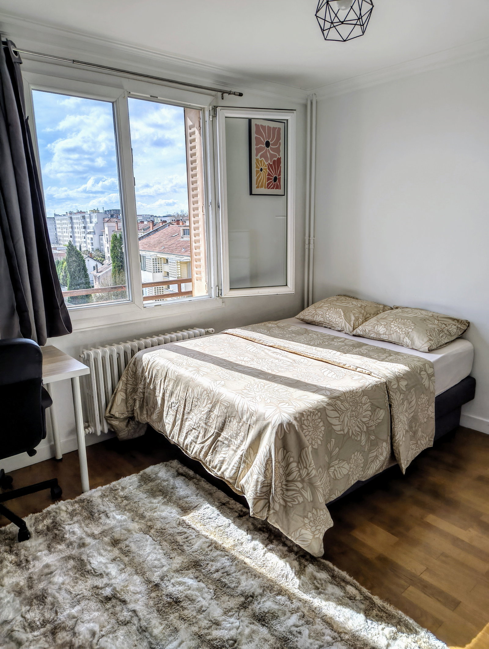 Chambre Chez L'habitant Villeurbanne 661851