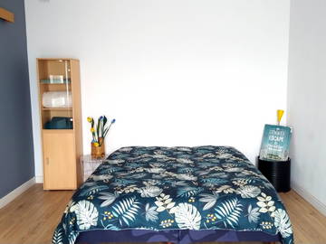 Colocation Muret 664247-1