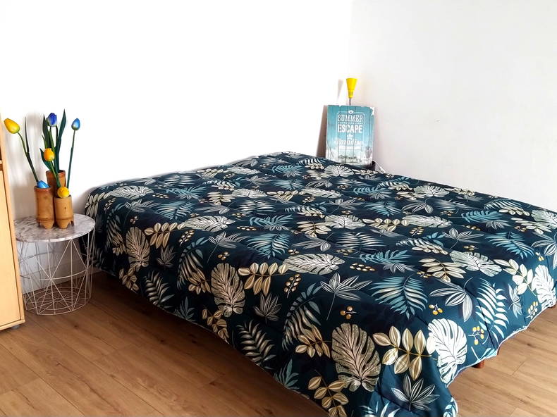 Colocation Muret 664247-2