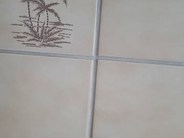 Quarto de hóspedes para alugar em Toulouse - fotografia 1-1
