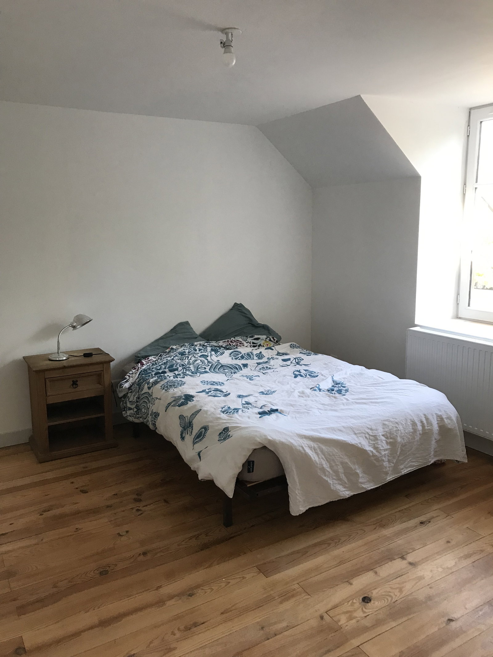 Chambre Chez L'habitant La Chapelle-Saint-Mesmin 676275