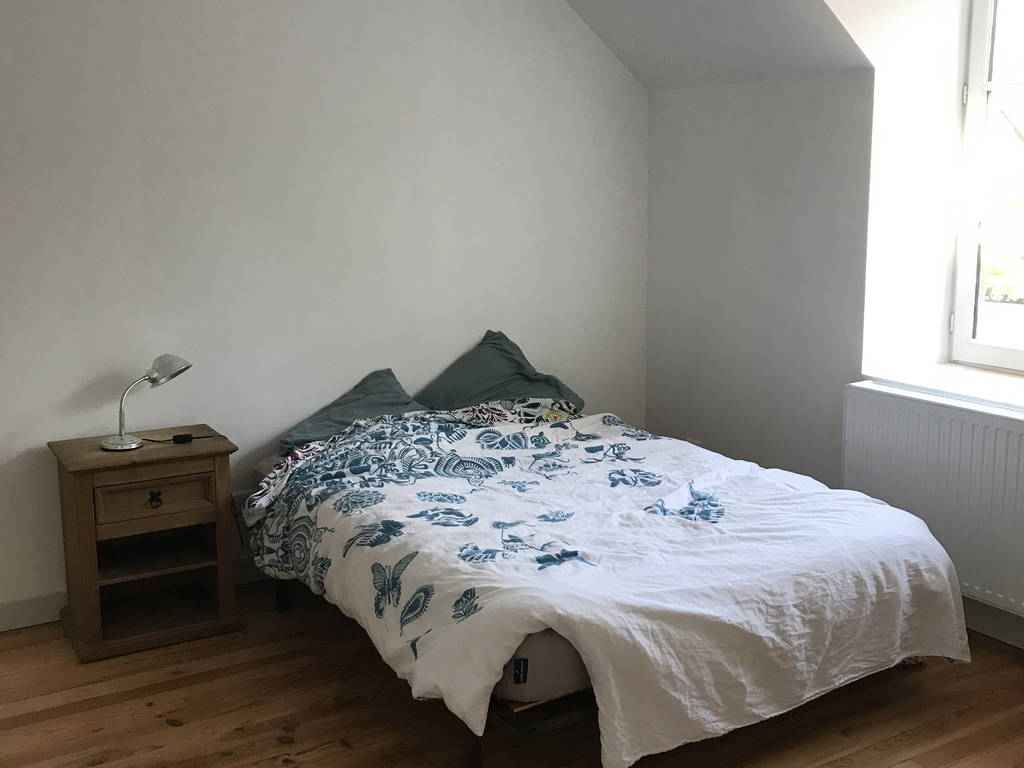 Chambre Chez L'habitant La Chapelle-Saint-Mesmin 676275-1