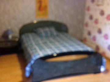 Chambre chez l'habitant à louer à Saint-Vulbas - photo 1 : chambre-1