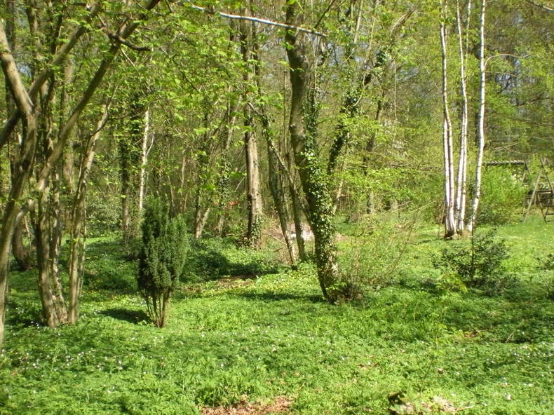 Kolokation Estouteville-Écalles 124899-4