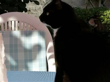 Hospedagem Em Casa De Família Watermael-Boitsfort 248923-7