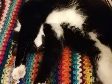 Hospedagem Em Casa De Família Watermael-Boitsfort 248923-9