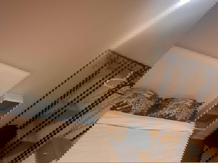 Kolokation Mulhouse 651629