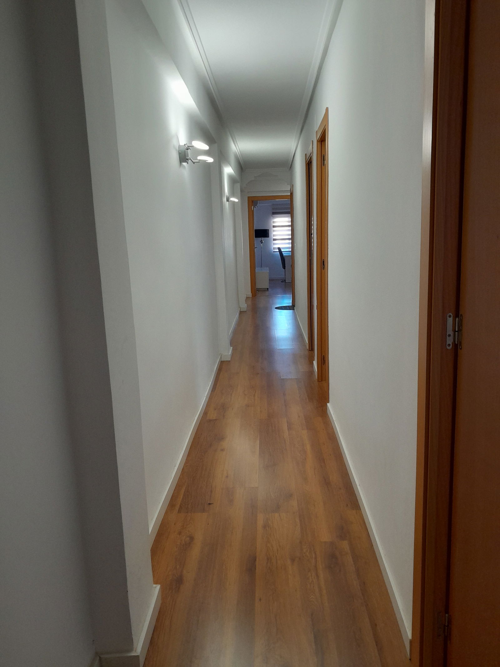 Colocation Burjassot 265719