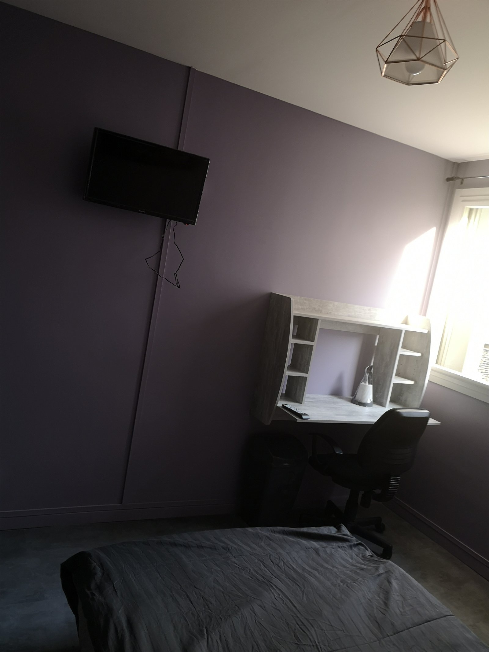 Colocation Toulouse 234257