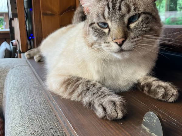 Chambres D'hôtes Morillon 581722-1