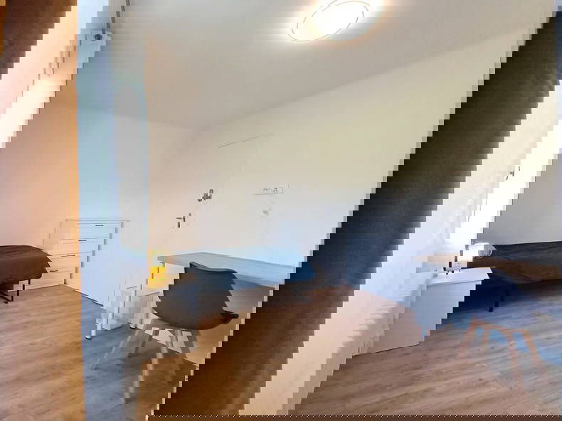 Kolokation Saint-Maur-des-Fossés 532574-2