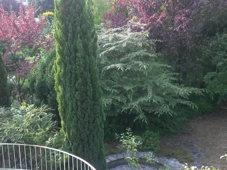 Colocation Luxembourg 111105-4