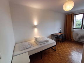Kamer 8 in een gedeelde accommodatie in La Varenne - RER A (7 min) (2e verdieping)