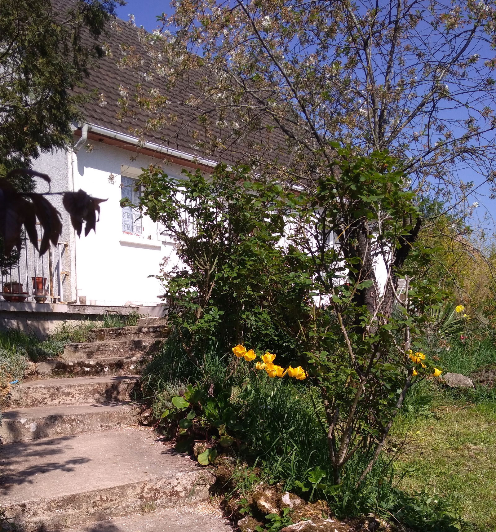 Hospedagem Em Casa De Família Cocherel 225344