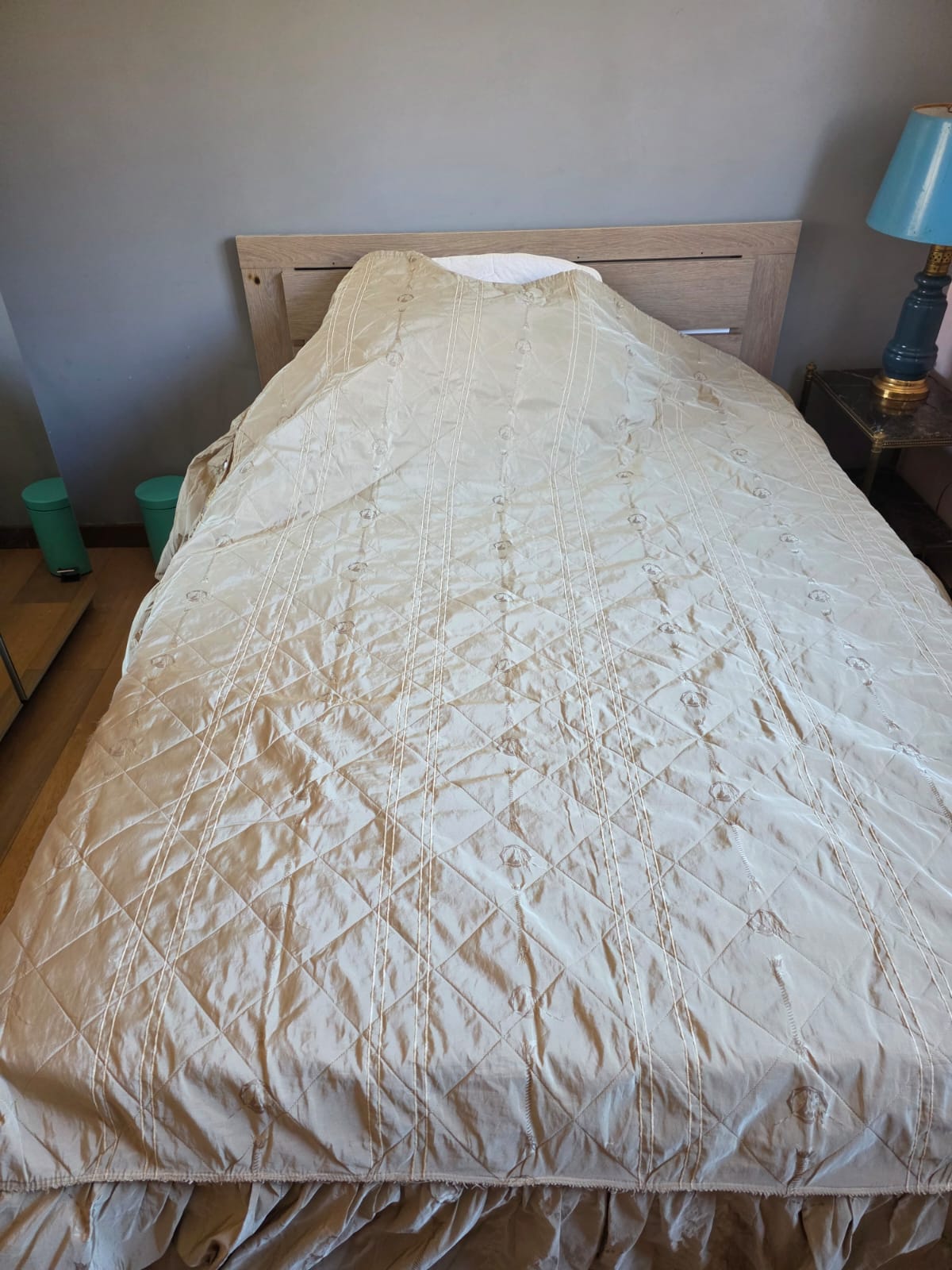 Chambre Chez L'habitant Gex 247536