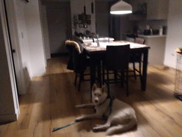 Alojamiento Compartido Québec 652153-2