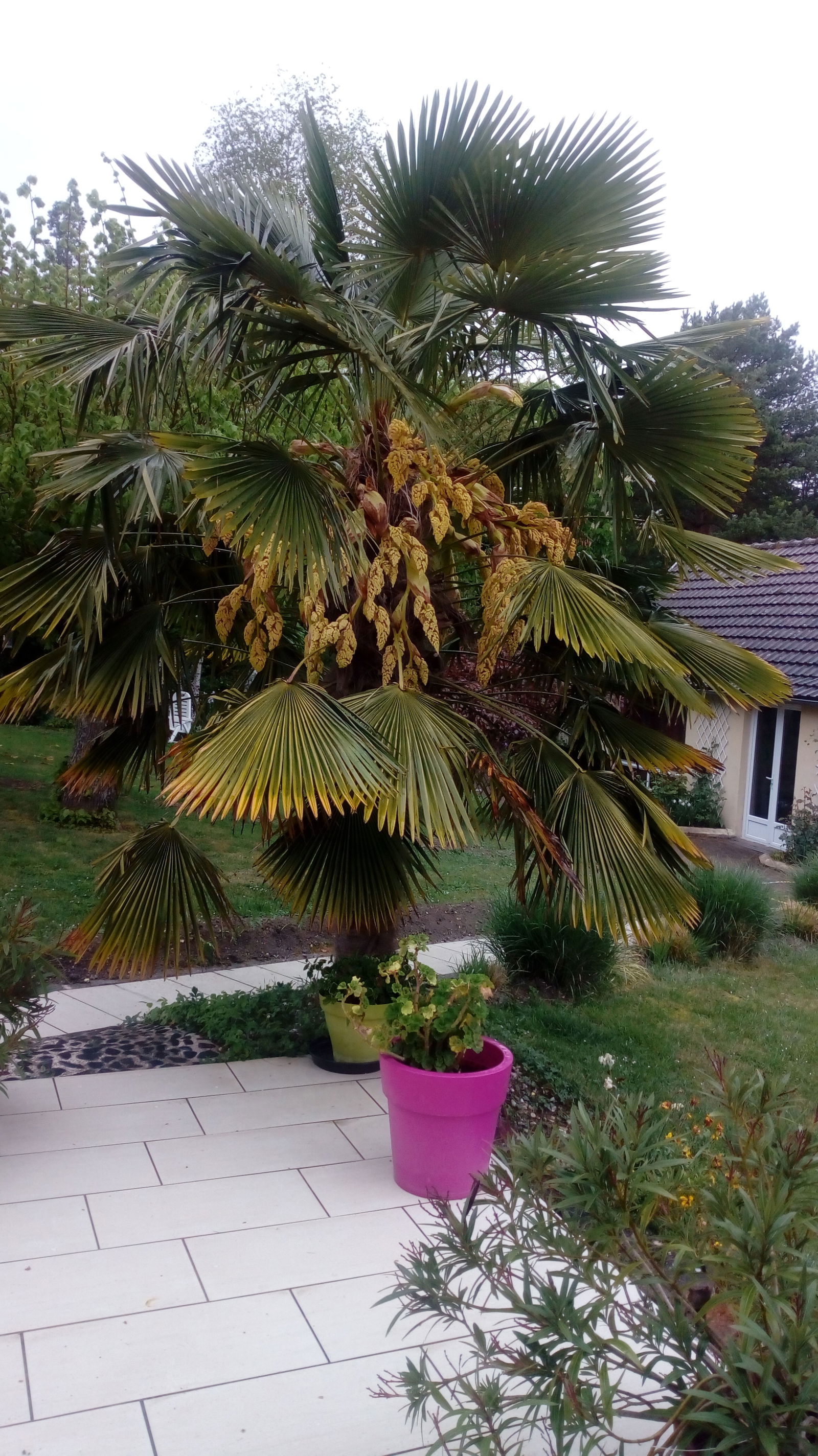 Homestay Loches 236368