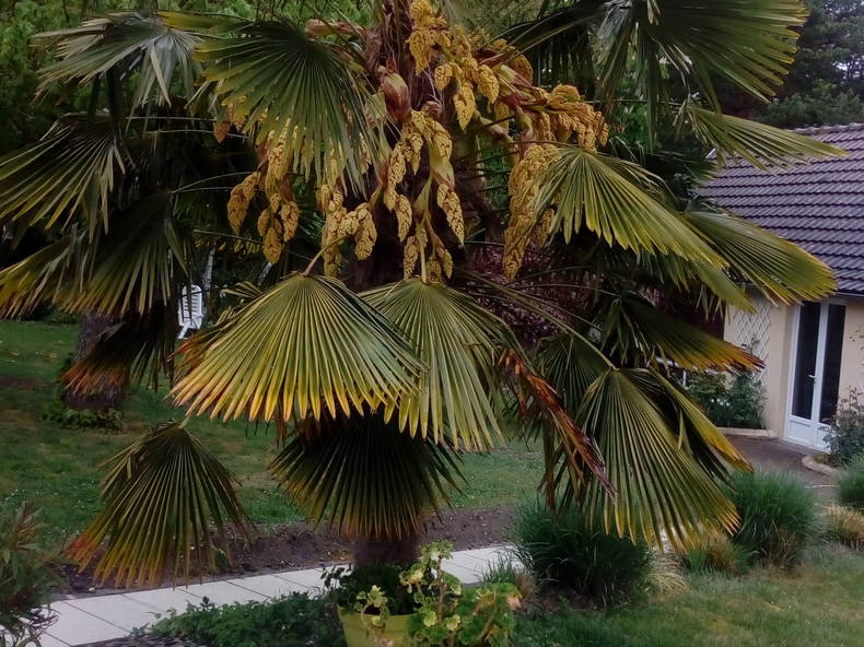 Famiglia Loches 236368-3