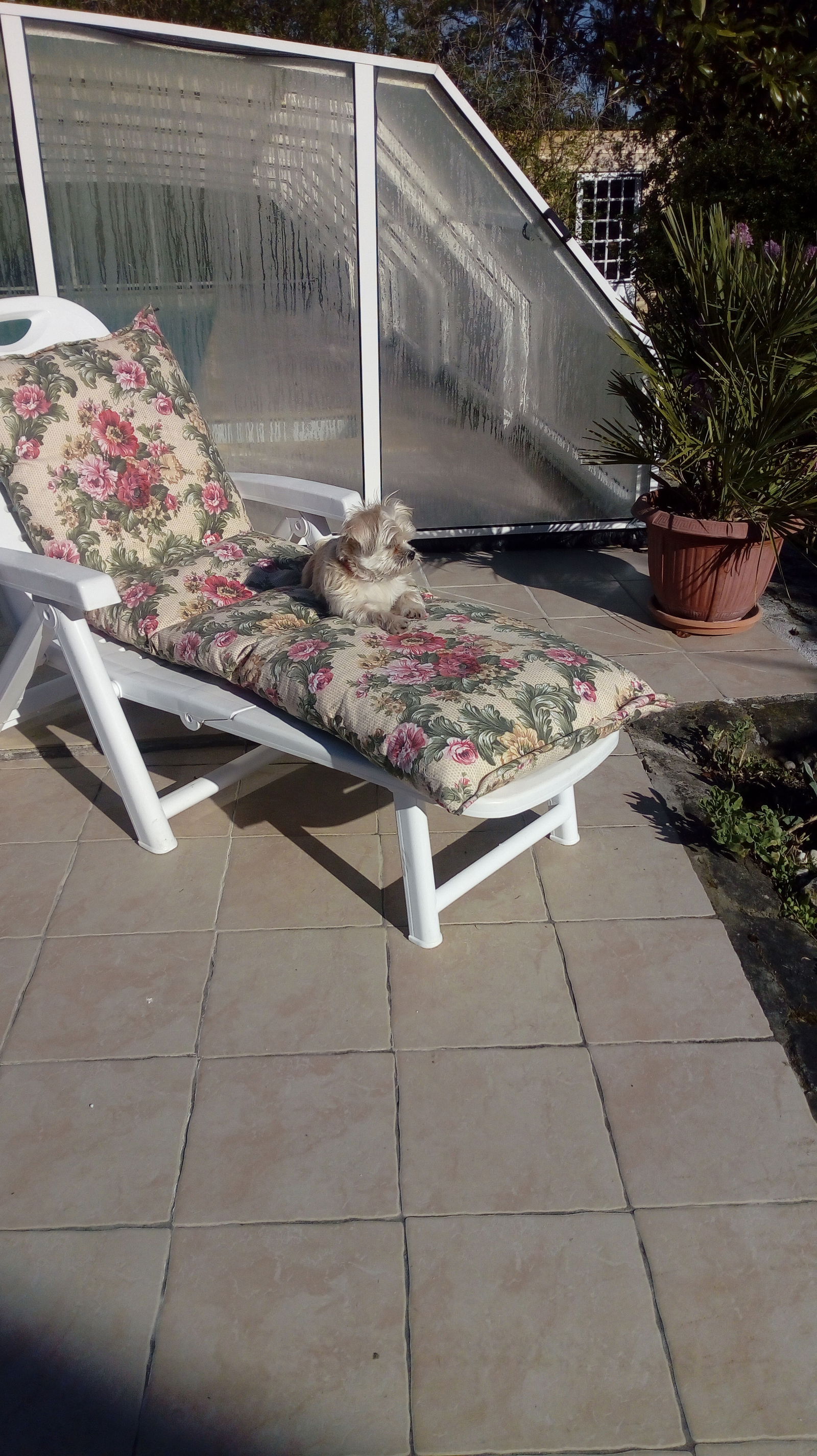 Homestay Loches 236368