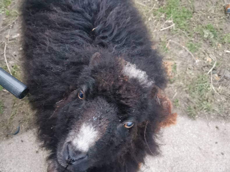 Quedarse En Casa Quiers-sur-Bezonde 582989-4