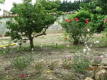 Chambre À Louer Neulise 109084