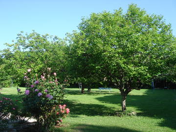 Unterkunft beim Gastgeber zur Miete in Lambesc - Foto 2 : Garten-2