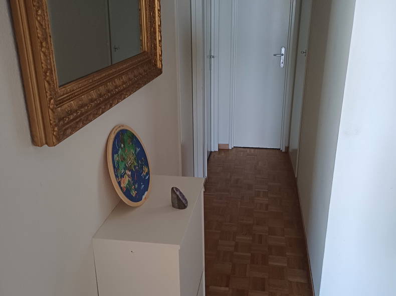 Chambre Chez L'habitant Lausanne 446943-2