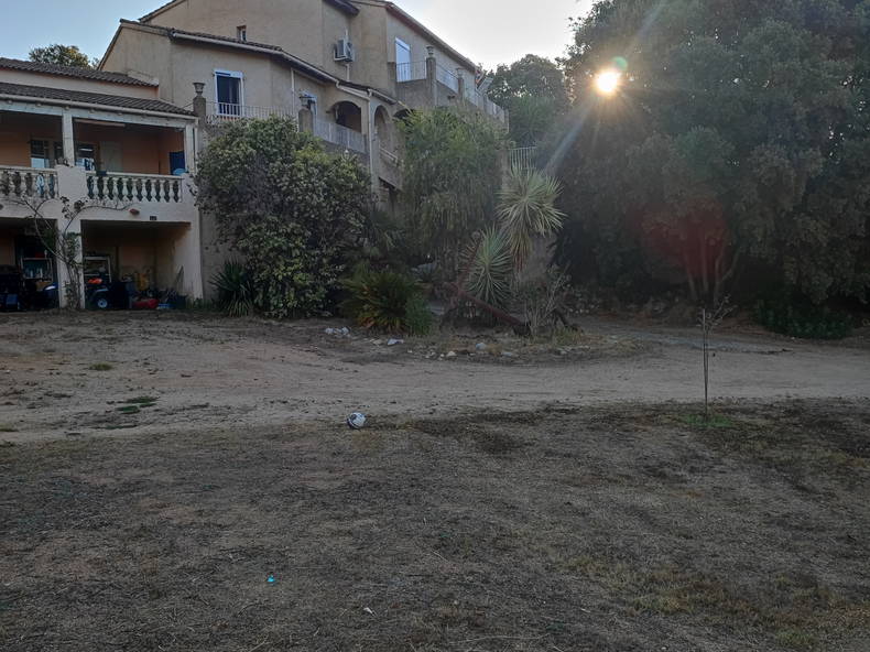 Famiglia Alata 454714-1