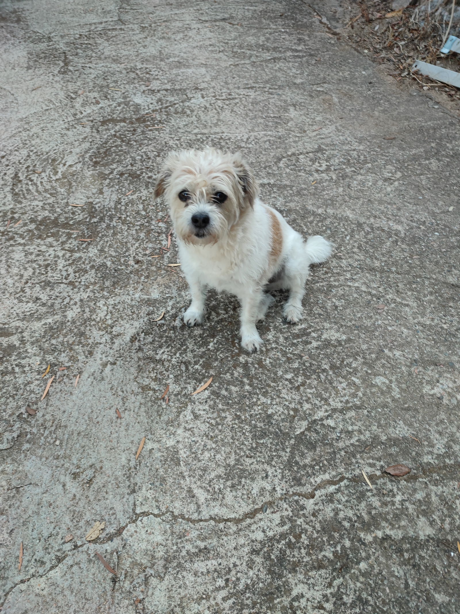 Chambre Chez L'habitant Alata 454714