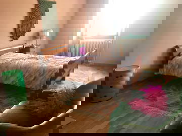 Logement Entier Genève 417124-4