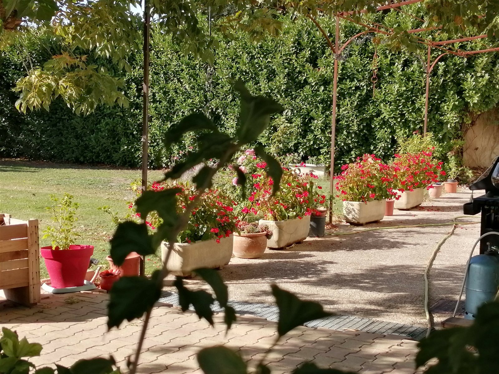 Hemvistelse Piolenc 253711