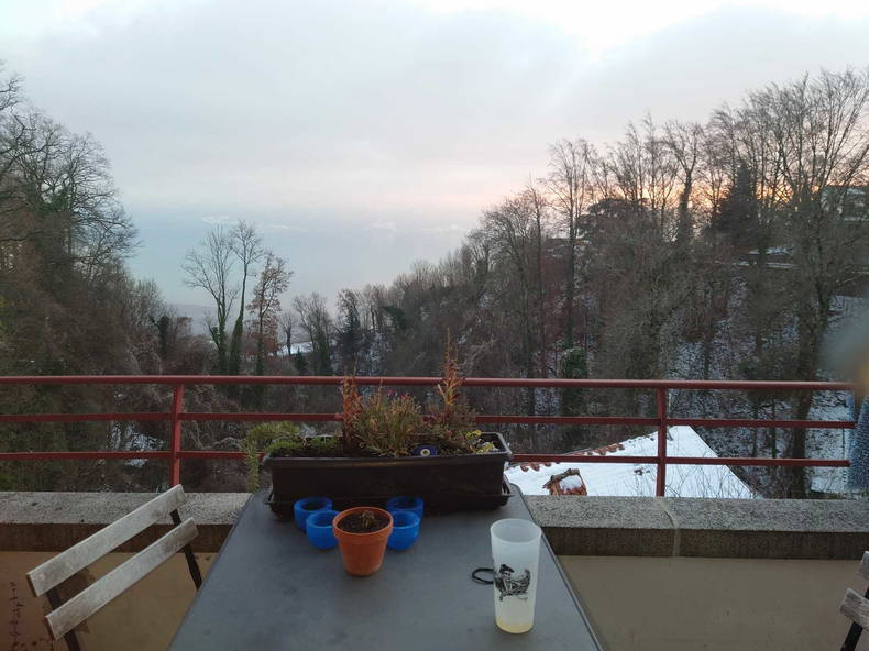 Colocation Chexbres 255486-1