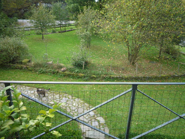 Hospedagem Em Casa De Família Libin 6567-1