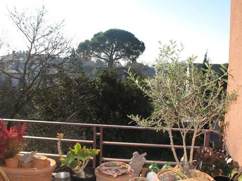 Chambres D'hôtes Blagnac 11586-2