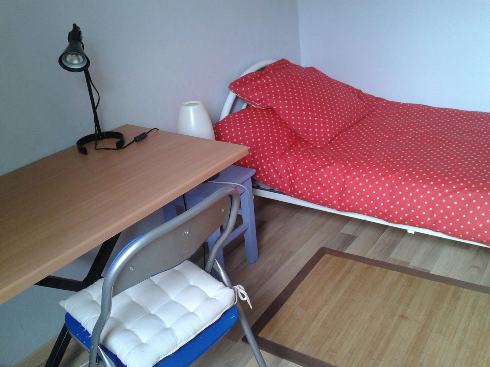 Chambre Chez L'habitant Toulouse 17431