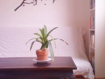 Quedarse En Casa Paris 25279-3