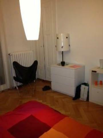 Chambre Chez L'habitant Genève 46089