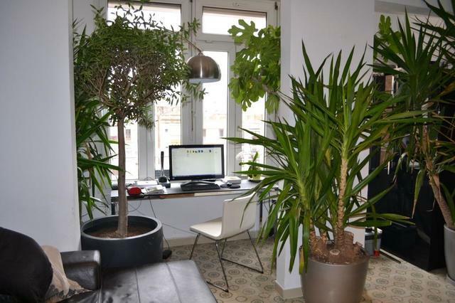 Chambre Chez L'habitant Barcelona 46325