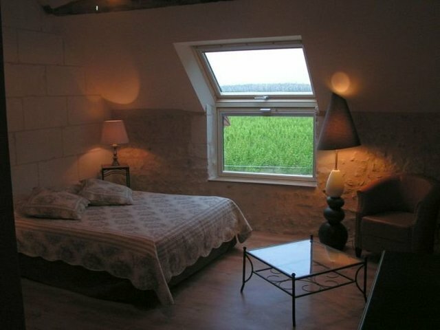 Gastenkamers Saint-Georges-sur-Cher 47855