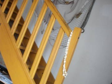 Gastfamilie Port-la-Nouvelle 48874-4