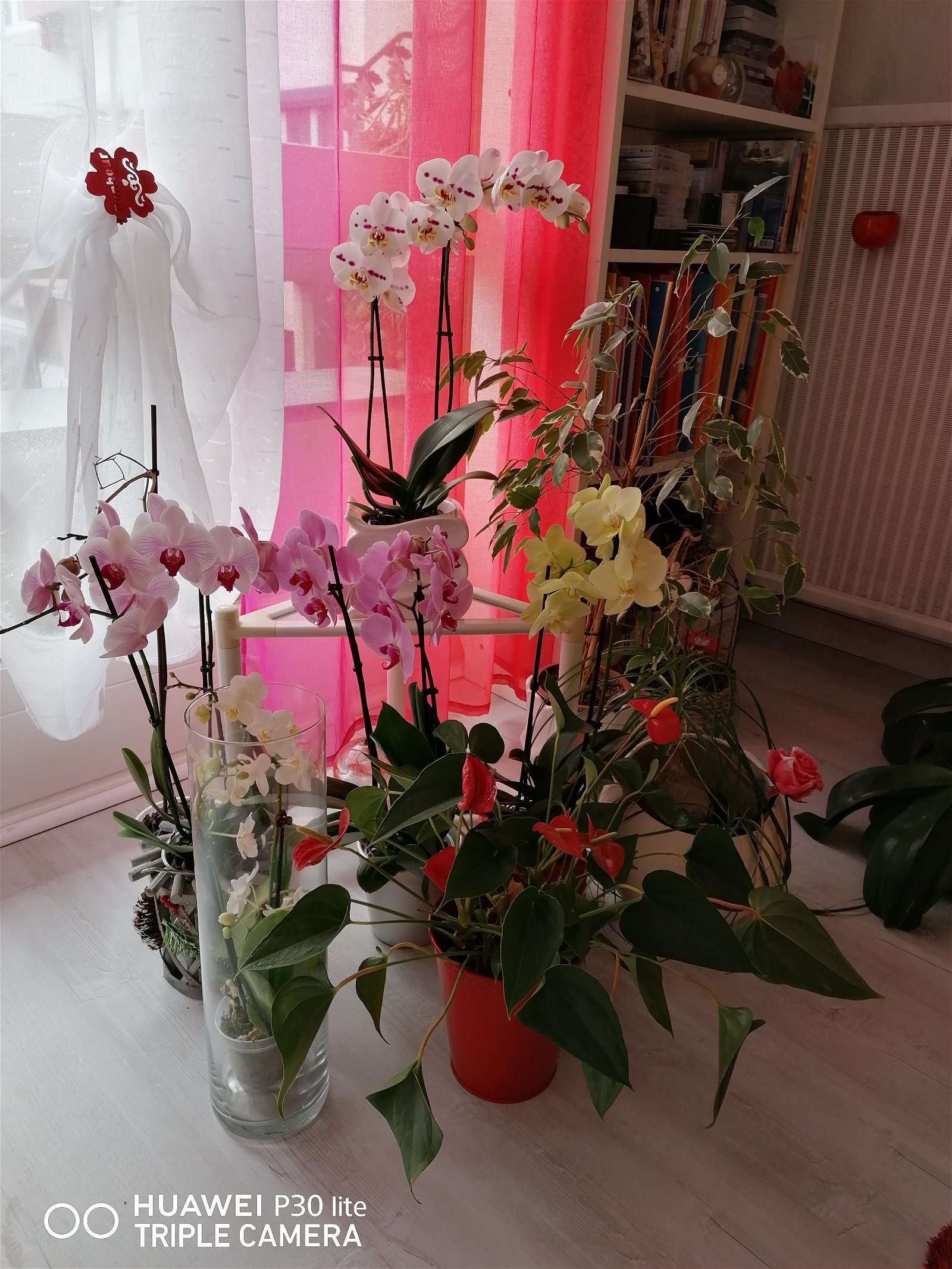 Zakwaterowanie U Rodziny Valence 50866