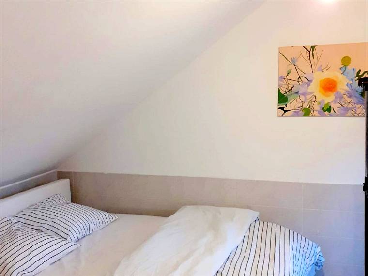 Homestay Argenteuil 60066-1