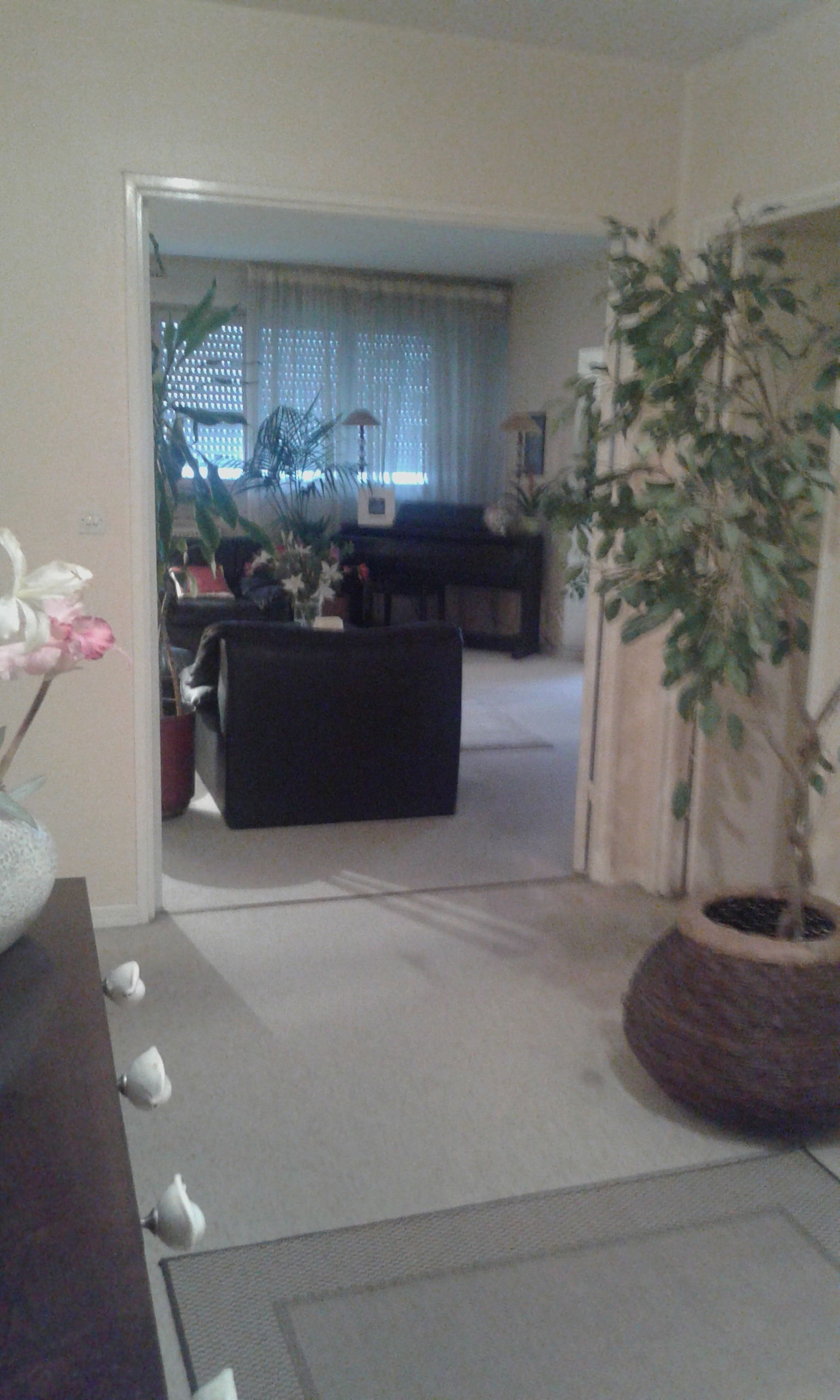 Chambre Chez L'habitant Strasbourg 61120