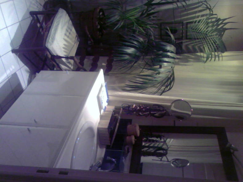 Chambre Chez L'habitant Paris 62545-2