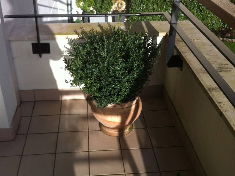 Homestay La Garenne-Colombes 75481-3