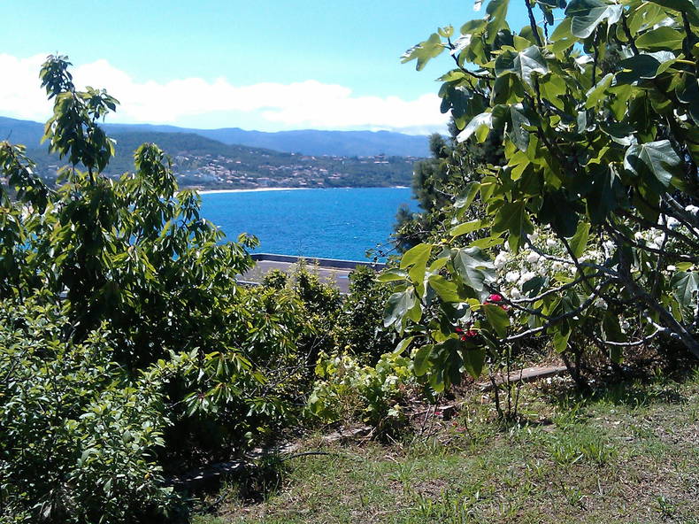 Chambre Chez L'habitant Pietrosella 75587-1