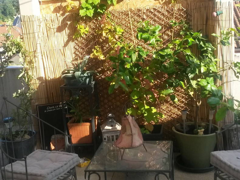 Homestay Lyon 81868-4